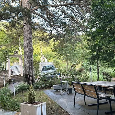 Bujtina Shqau
